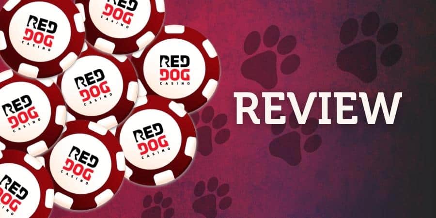 red-dog-casino-review-8000-bonus-games-user-experience-and-more